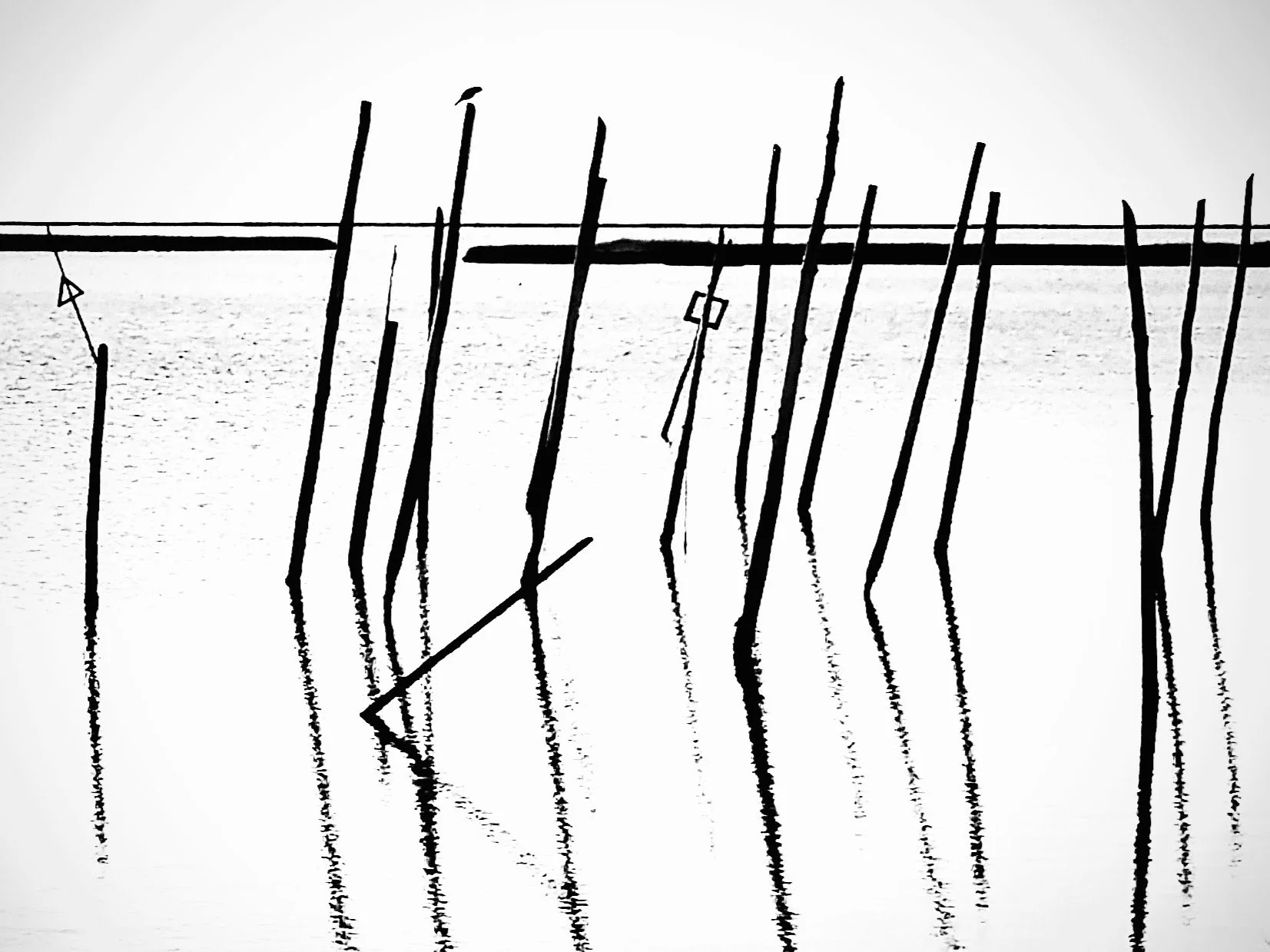 20151108_124020.jpg