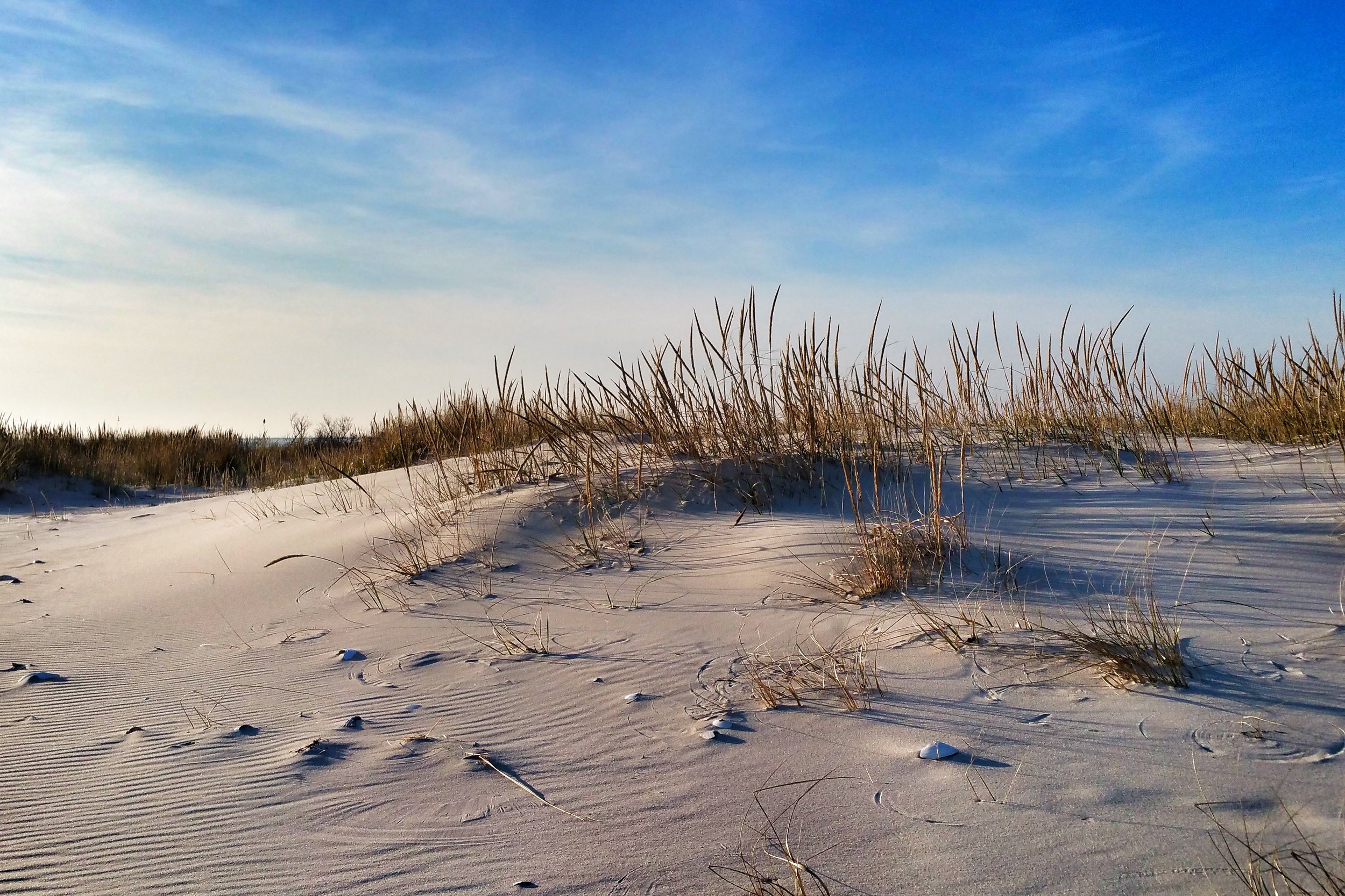 20151206_152150.jpg