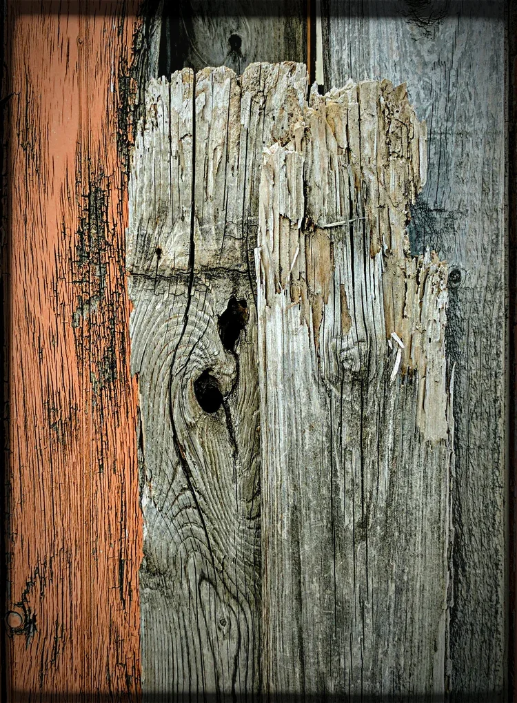 old-boards-vb.webp
