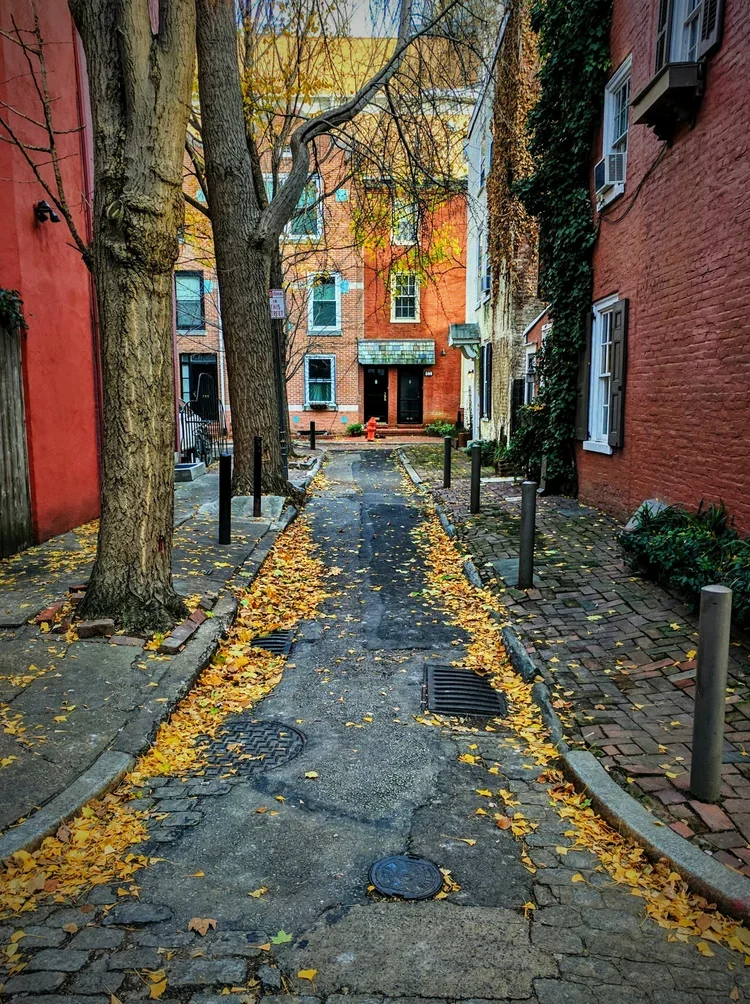 alley-view-e.webp