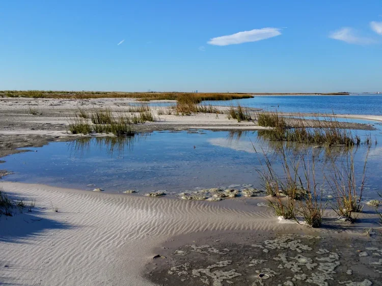 bayshore.webp