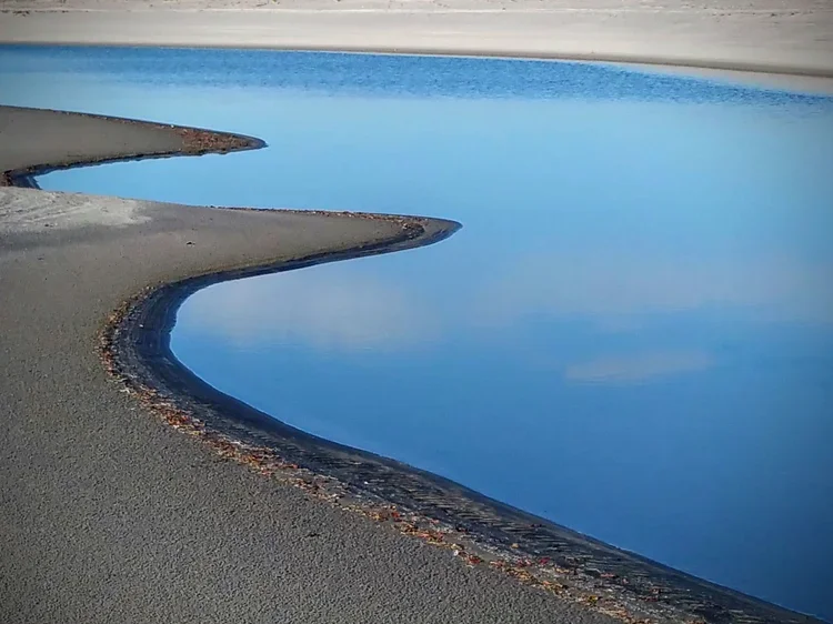 tidal-pool-e.webp