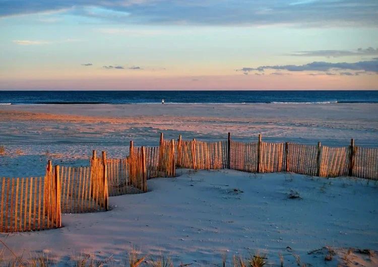 evening-fence-5x7.webp