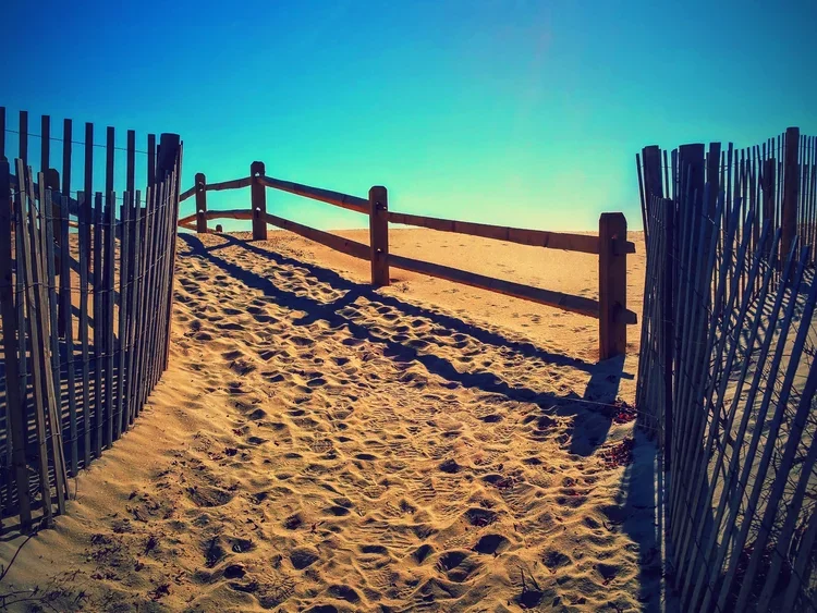 split-rail.webp
