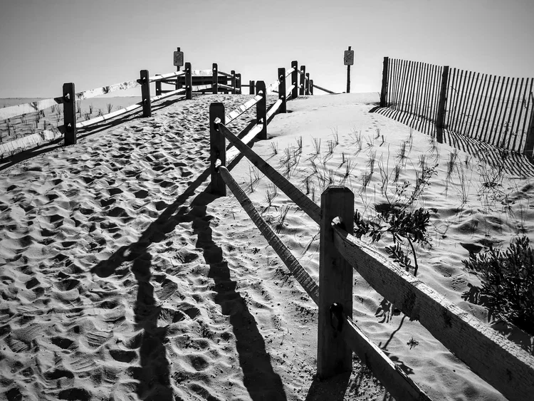 dune-sign-bw.webp