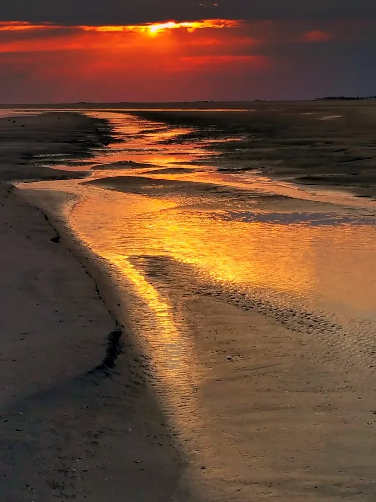 golden-sunset-2.webp