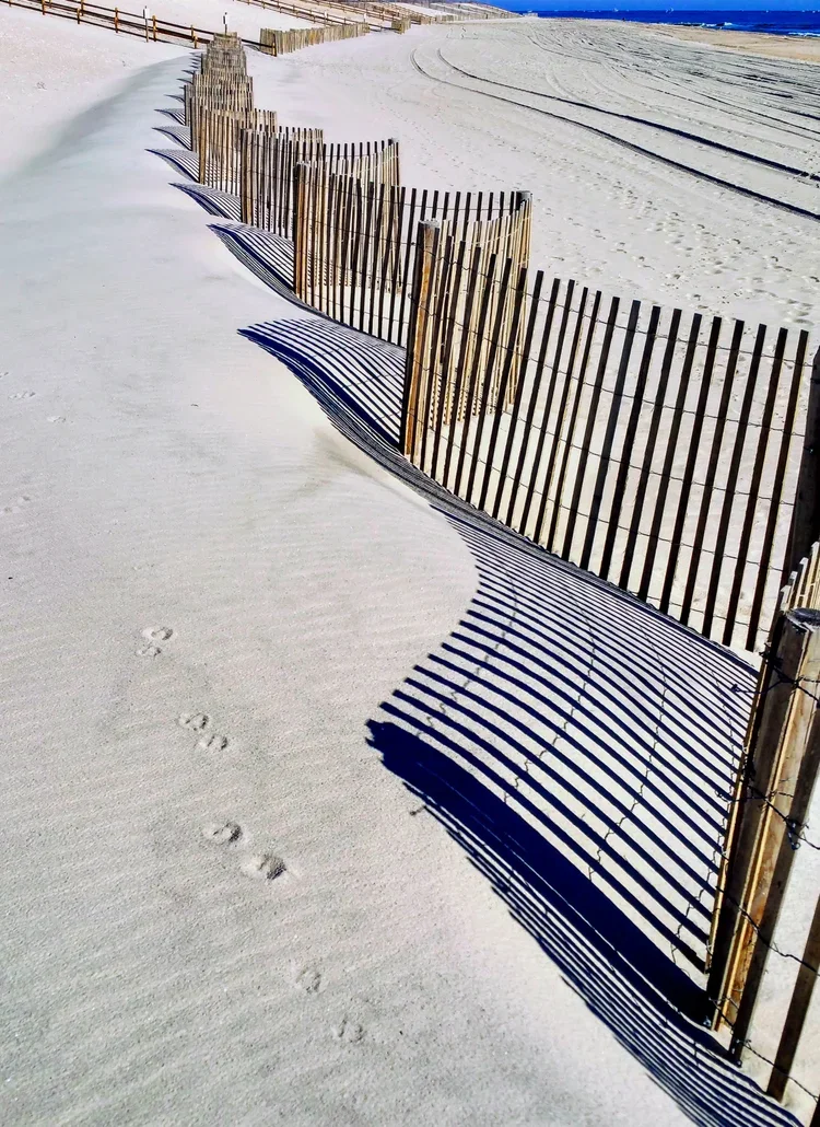 leeward-fence.webp