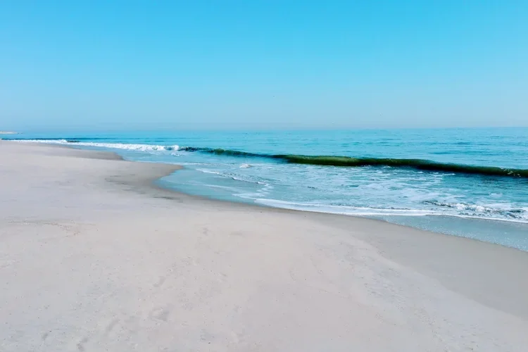 morning-wave.webp