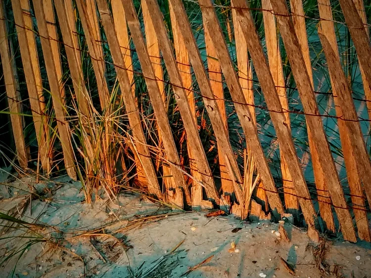 double-fence-e.webp