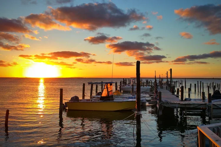 yellow-boat.webp