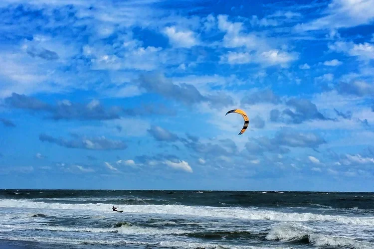 yellow-kite-2r.webp