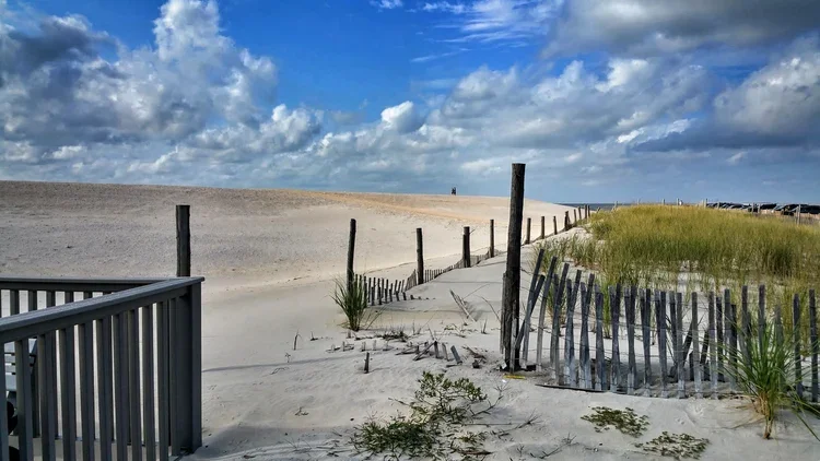 by-the-dune.webp