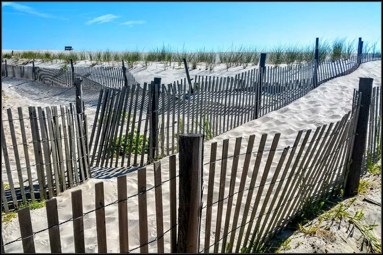 old-fences-b.webp