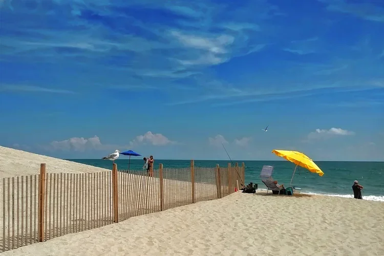 yellow-umbrella-e.webp