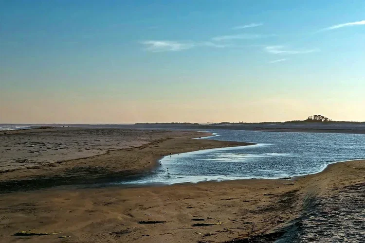 tide-pool-e2.webp