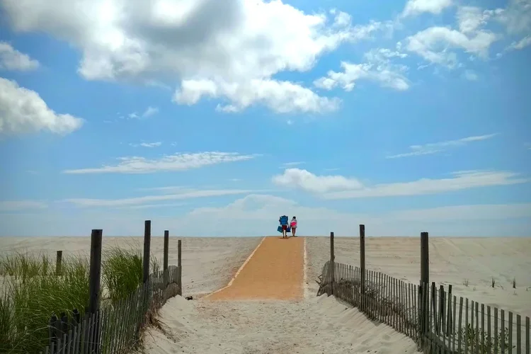 top-of-the-dune.webp