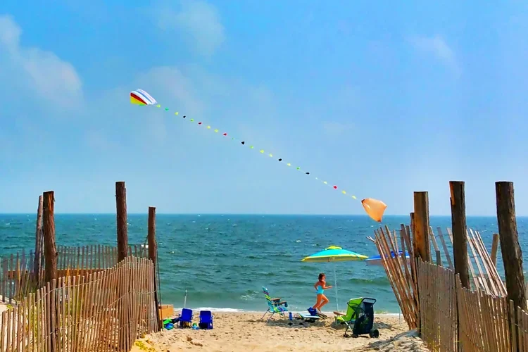 kite-2x3.webp