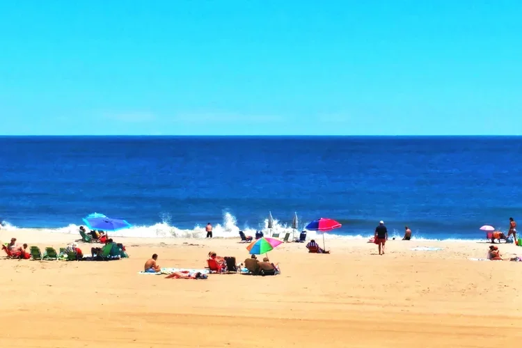 beach-life-3a.webp