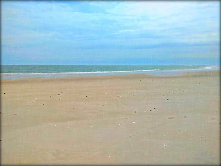 sandy-scene-e.webp