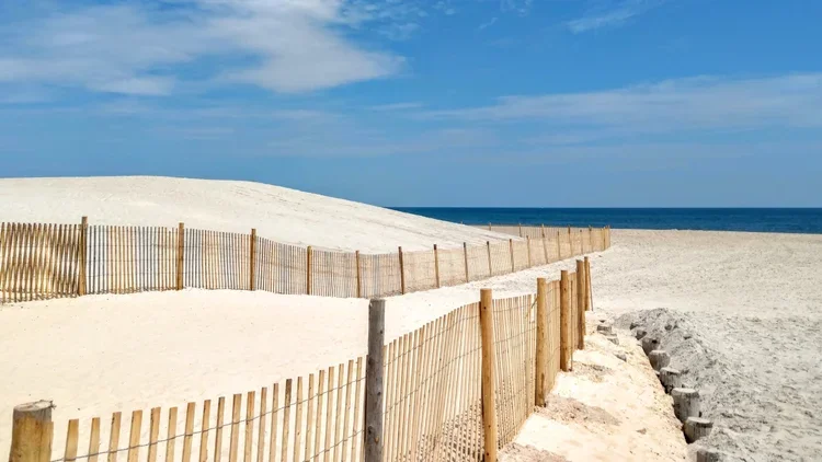 new-fences.webp