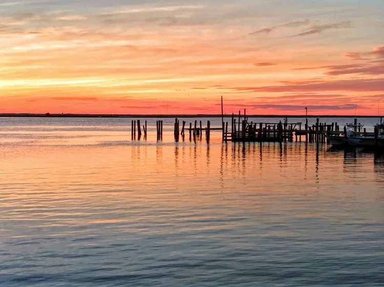 dock-1.webp