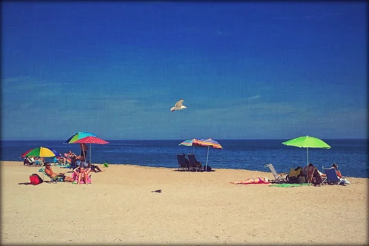 beach-day.webp