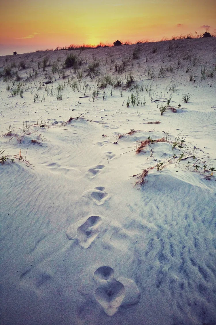 sunset-foot-prints-e.webp