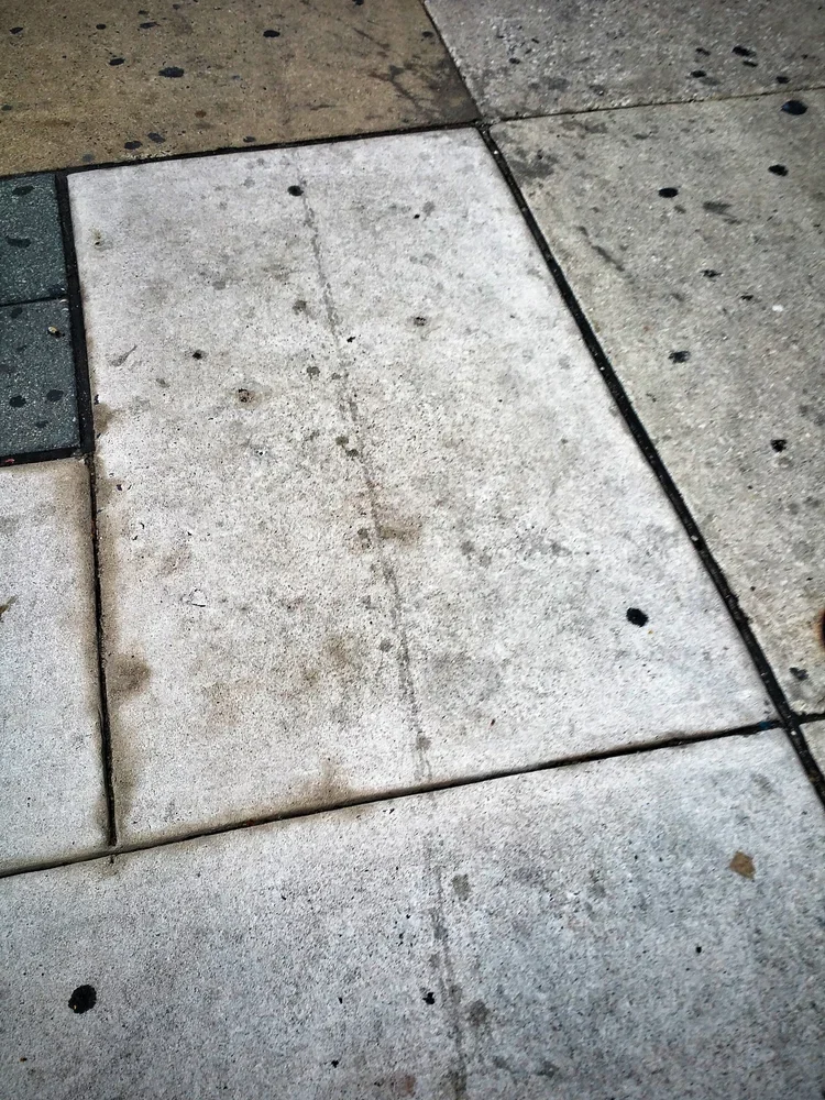 pavement.webp