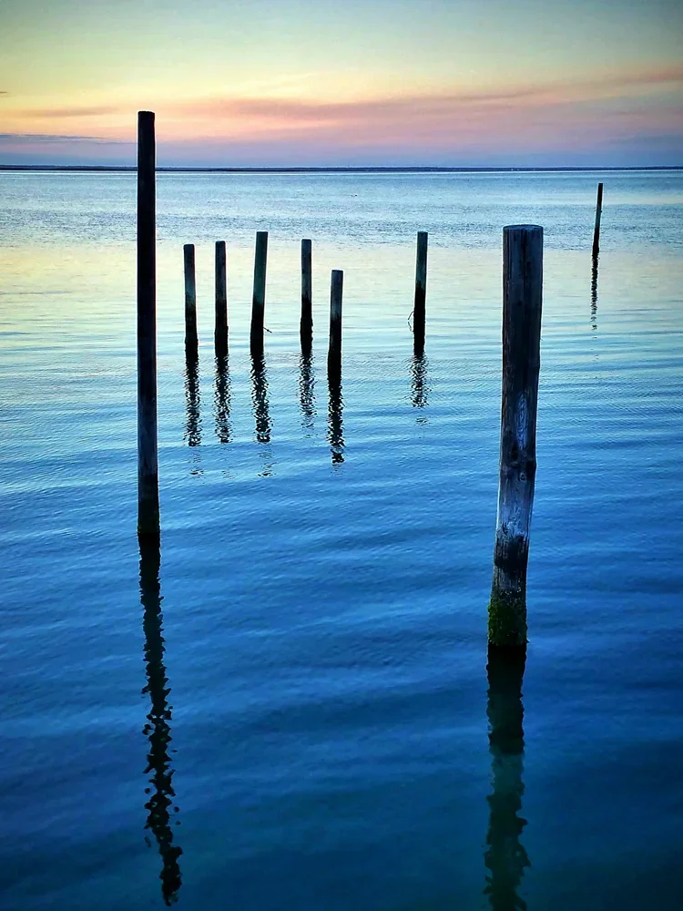 9-posts-er-auto-9x12.webp