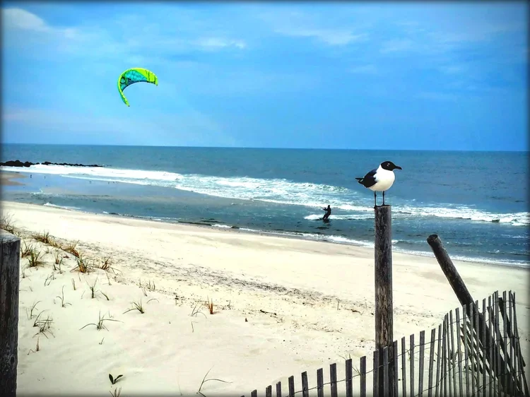 kite-surfing-e.webp