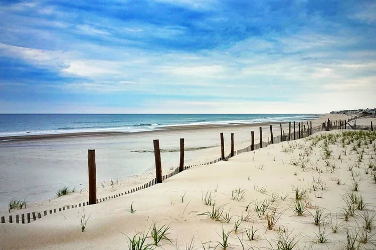 May-beach-looking-south-e.webp