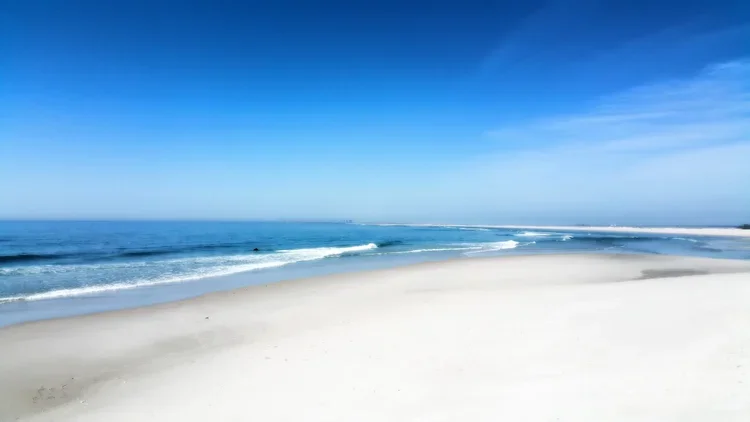 south-514.webp