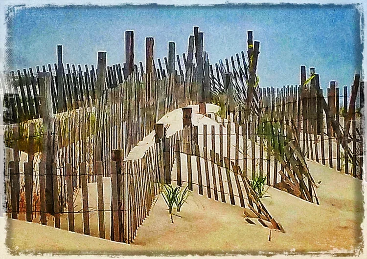 foggy-fences-eb.webp