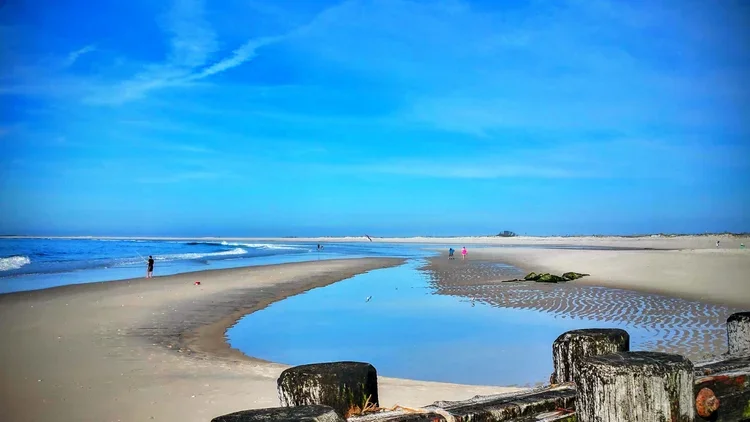 tidal-pool.webp