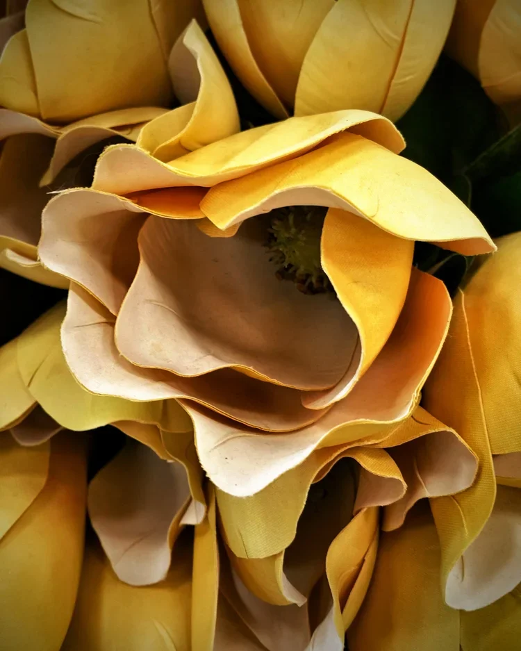 silk-flower.webp
