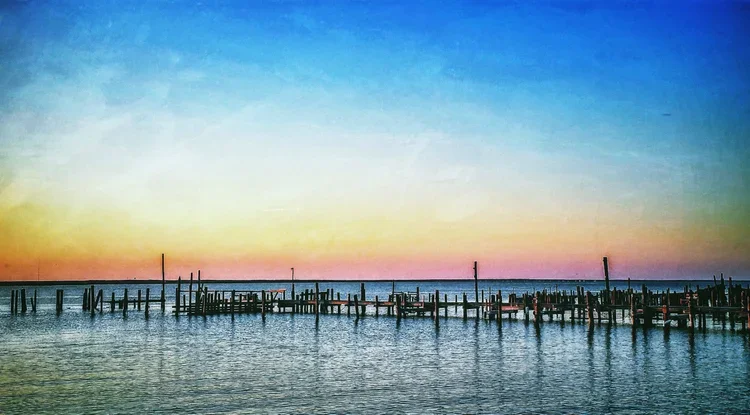 the-dock-e.webp