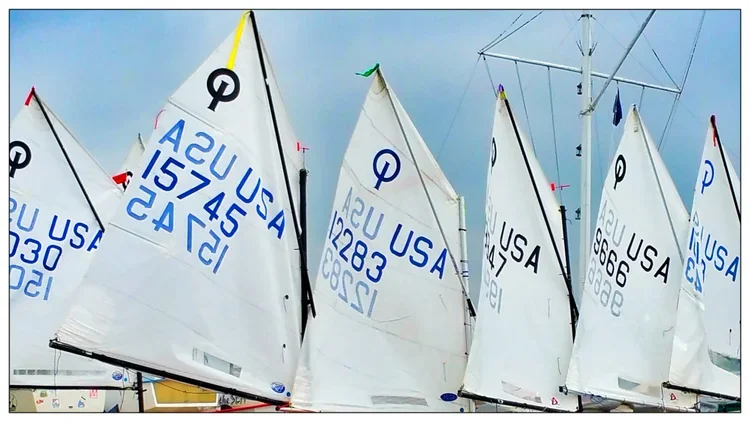 5-sails-b.webp
