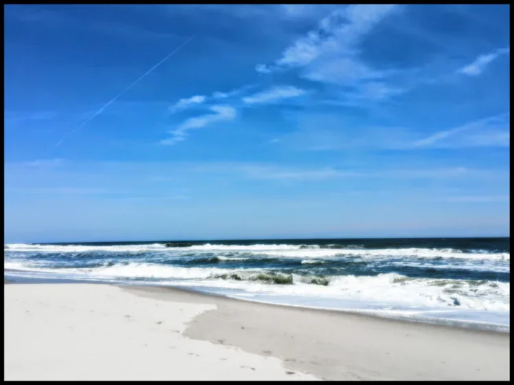 Saturday-Surf-gg-b.webp