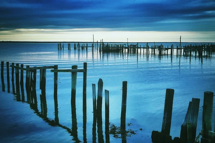 low-tide-bay.webp
