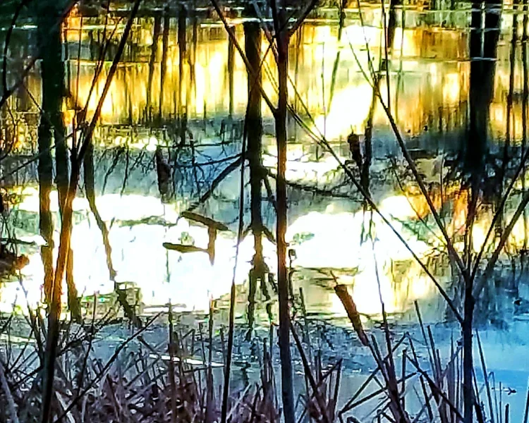 new-pond-sunset.webp