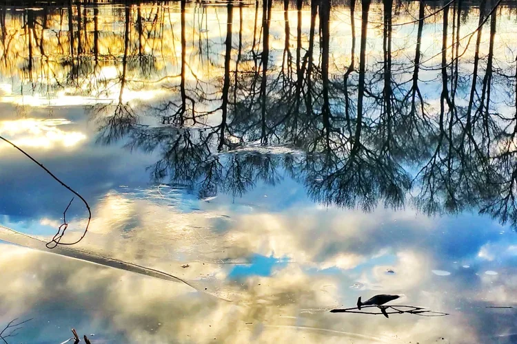sundown-pond-ice.webp