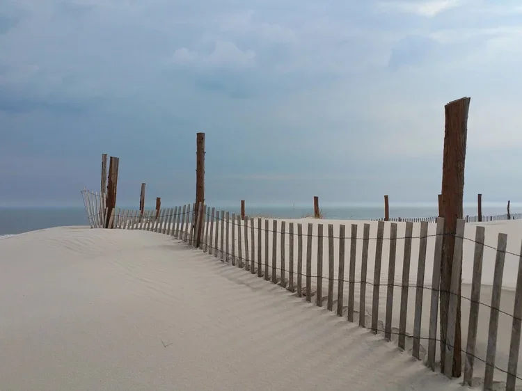 sunday-dune-fence.webp