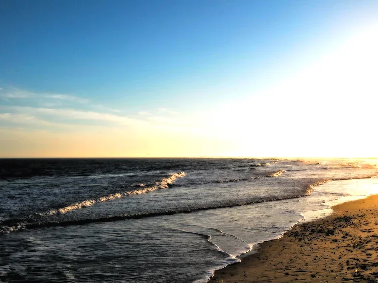 gold-shore-gg.webp