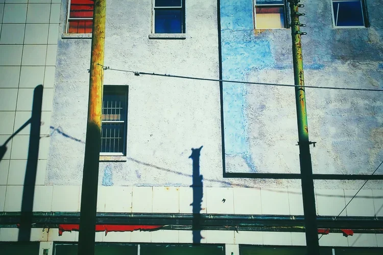 two-poles.webp