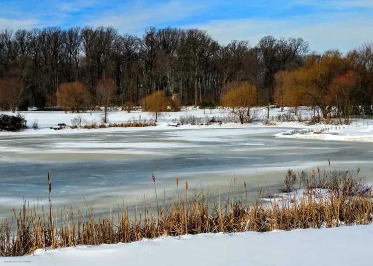 park-pond-5x7-c.webp