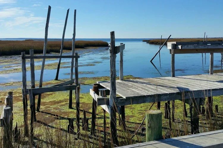abandoned-dock-P.webp
