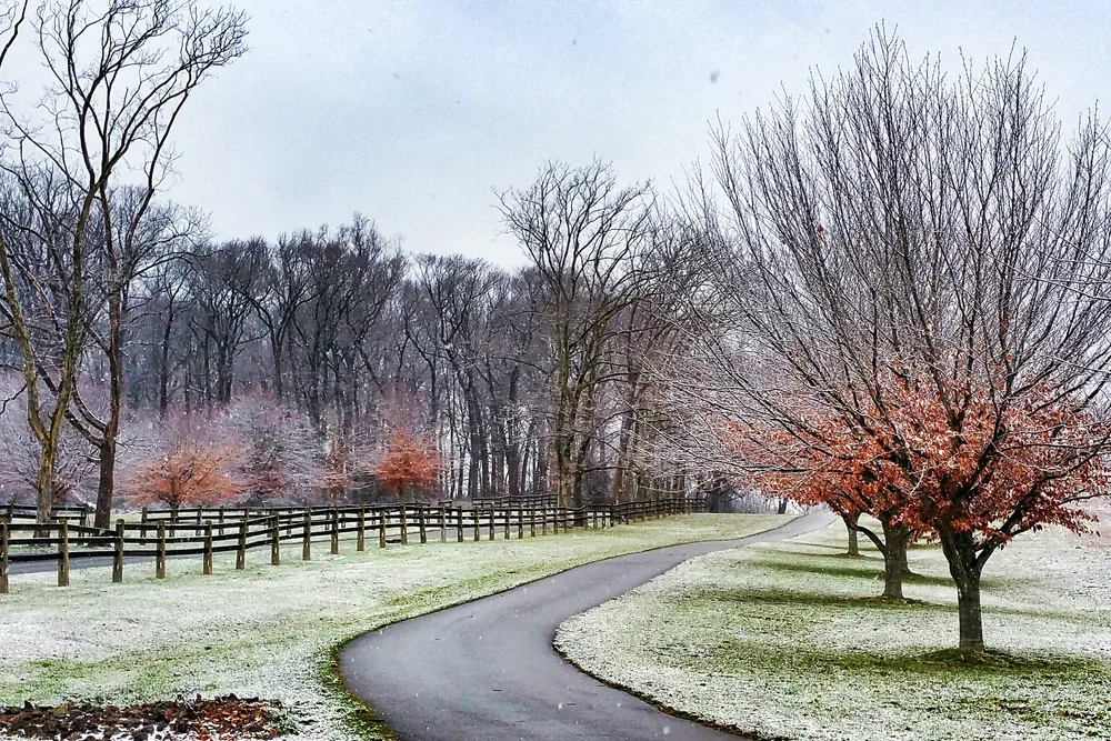 wintery-walk-e.webp