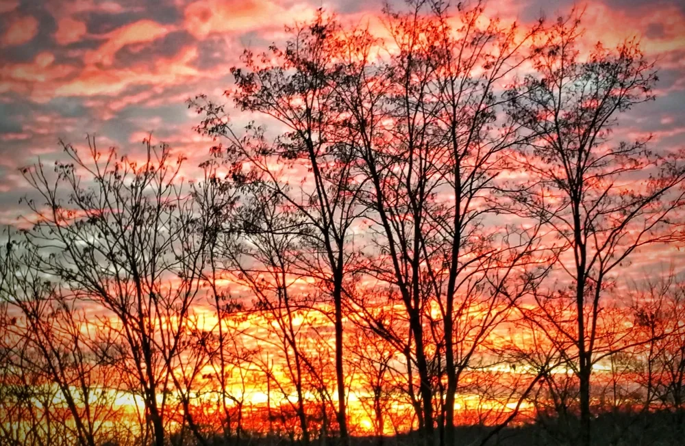sunset-jan-14.webp