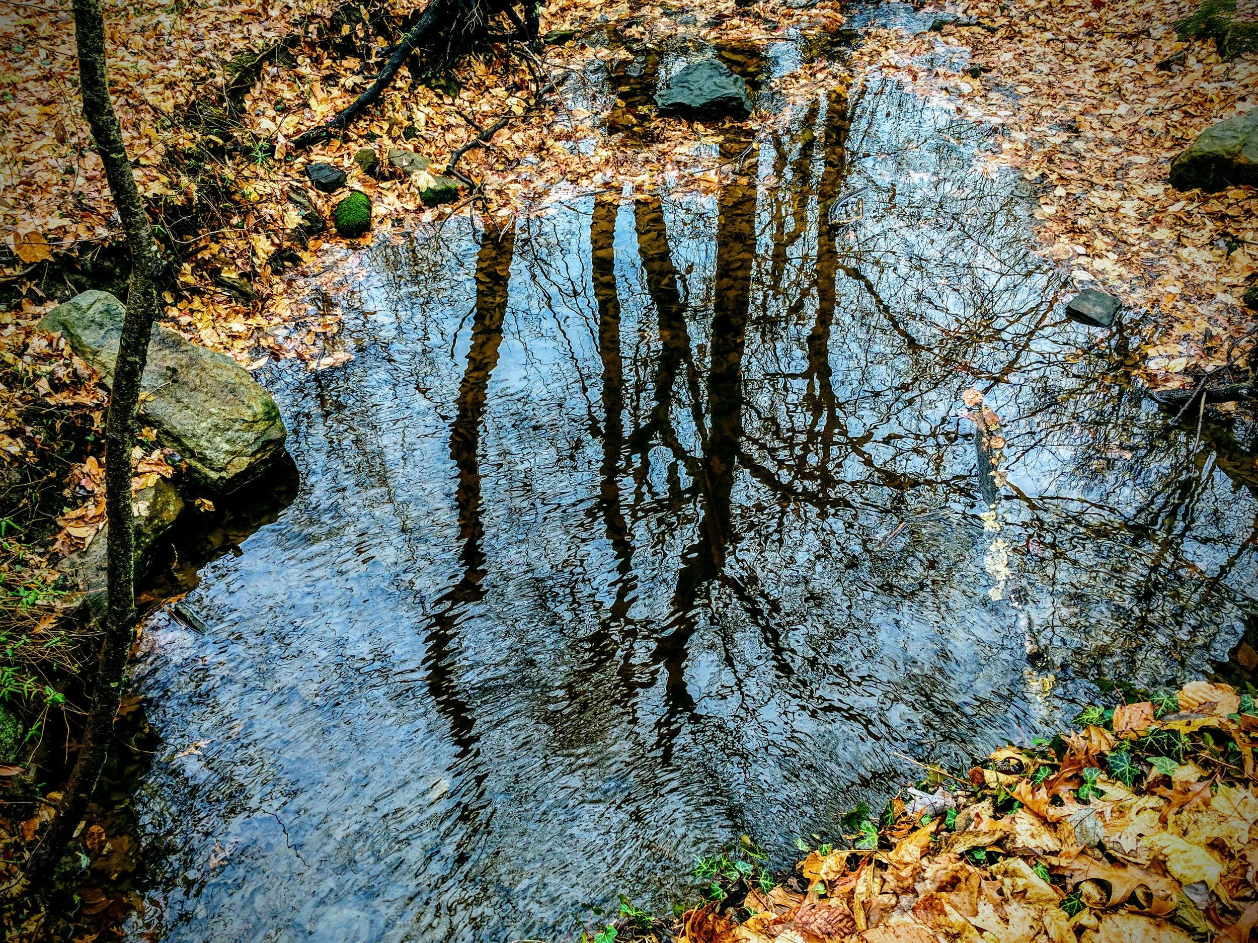 bellevue-stream-e.jpg