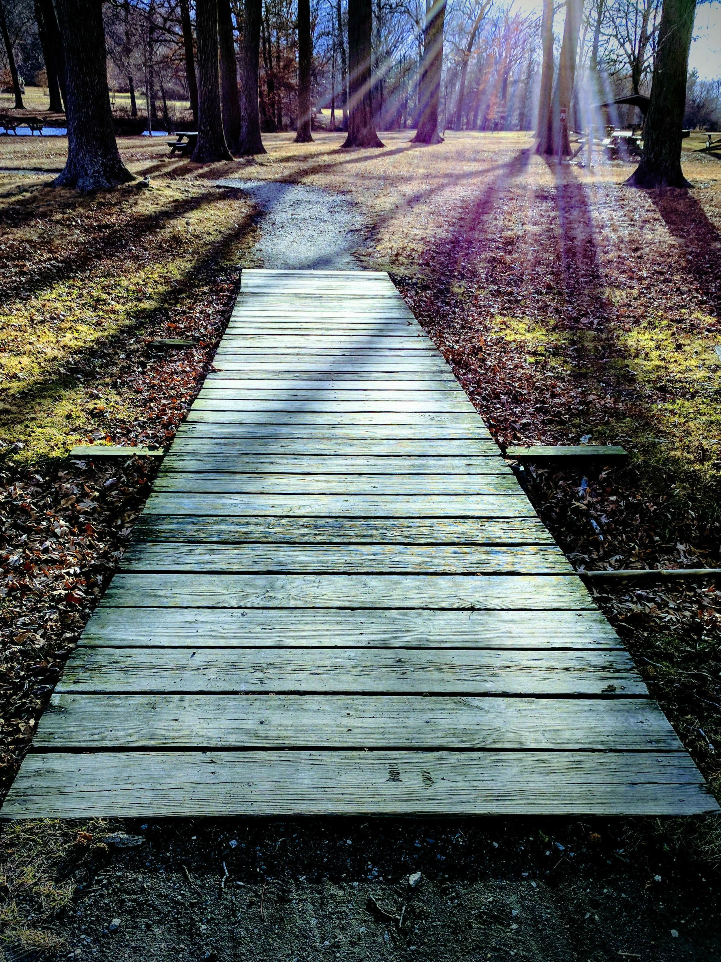 wooden-way-e.jpg